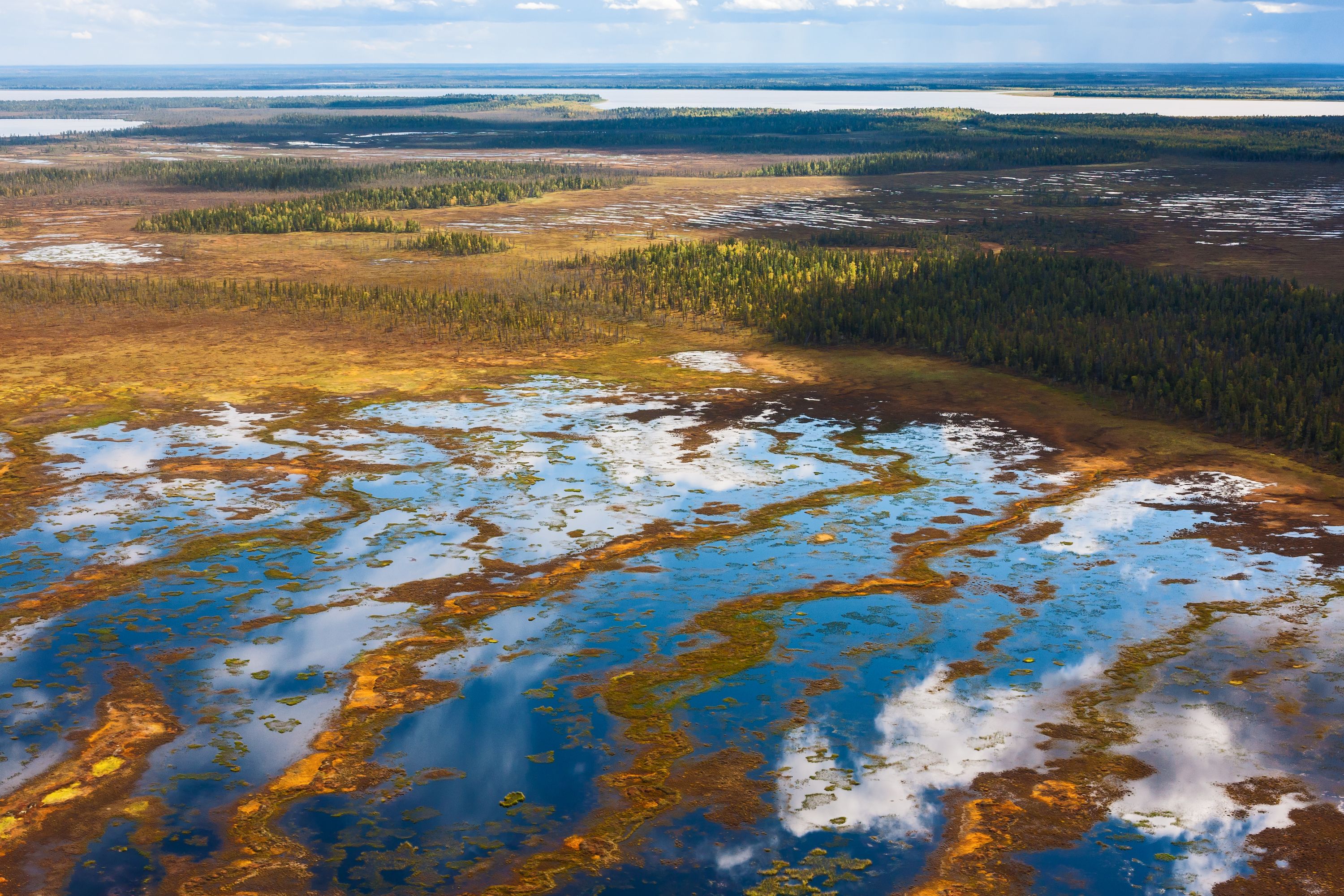 Las nuevas siberianas. Del frío extremo a un calor sin precedentes